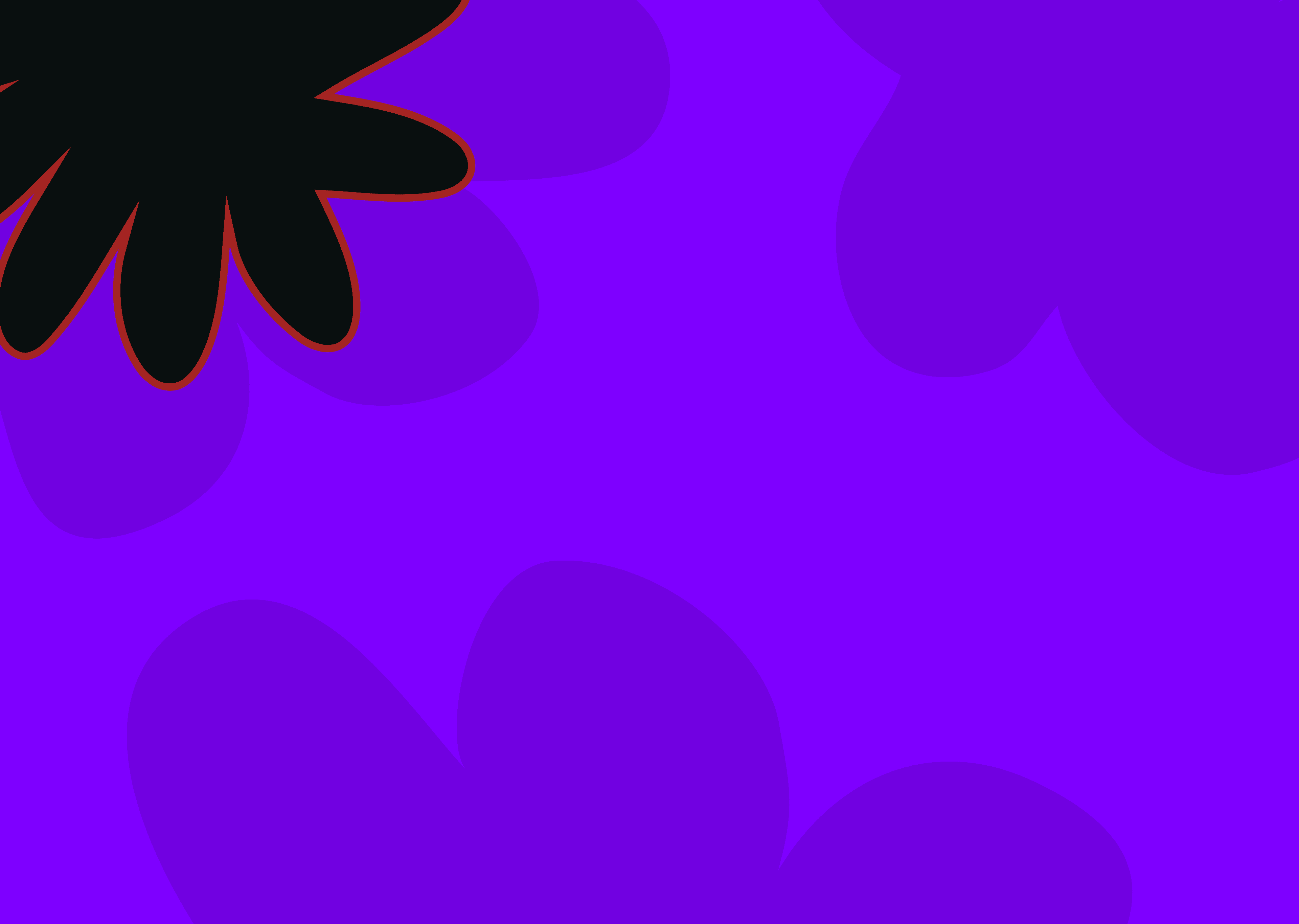 banner-6